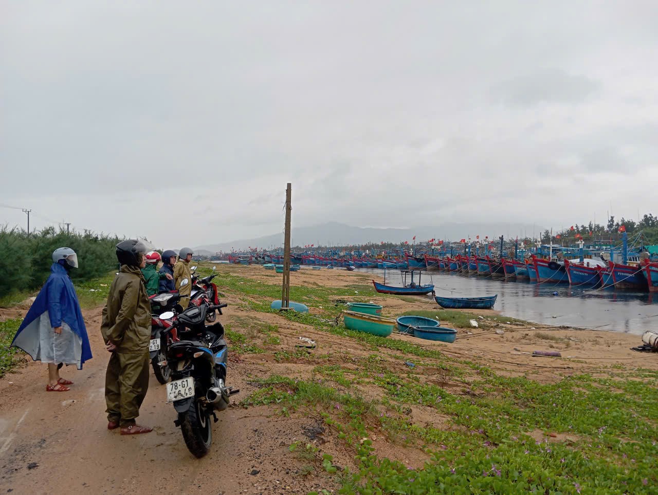 100 GHE TÀU TRÁNH TRÚ